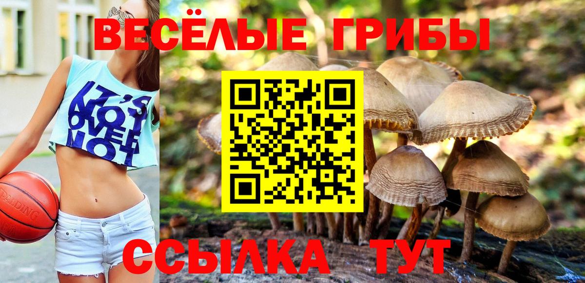 Псилоцибиновые грибы Cubensis Зеленокумск